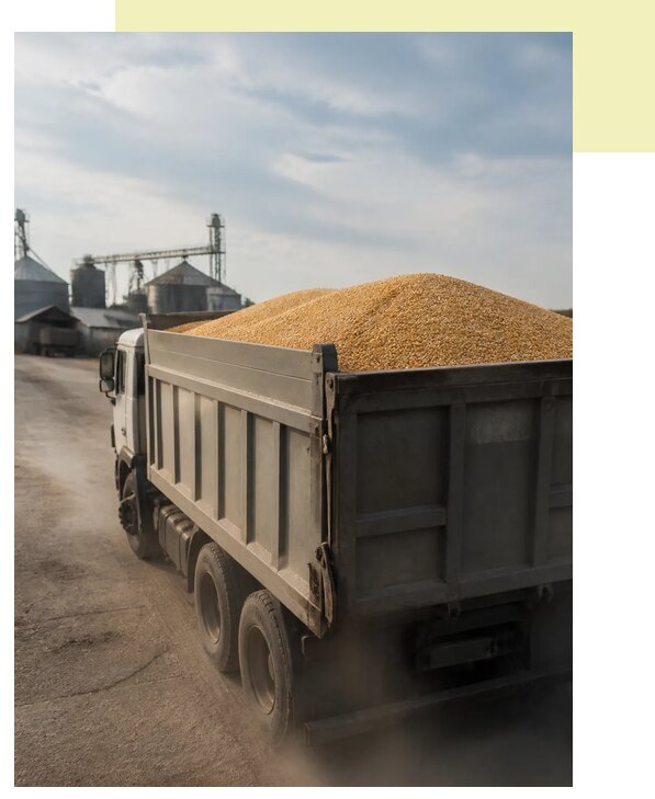 Перевозка сельхозпродукции навалом в Каменск-Шахтинского по цене от 3090 р. | Агросервис-Ксш